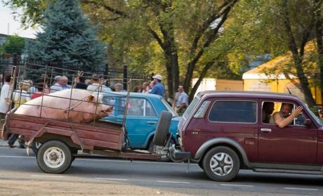 亚洲一级精品在线观看