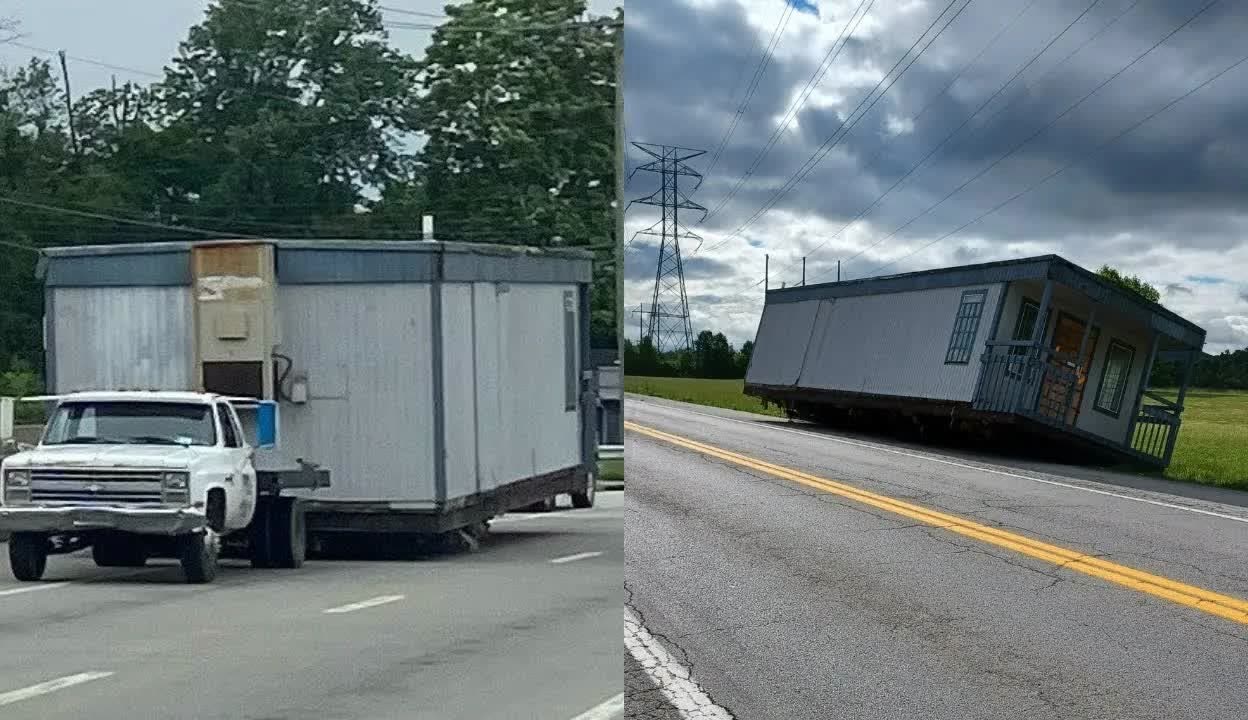 鸟鸟影 鸟鸟影鸟鸟影对不起