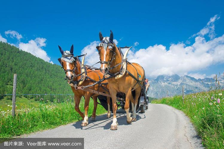 爱动漫网dfls 这类网站稳定性较差