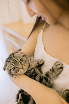 惊声尖笑在线 共有5部主线电影(1-5部)