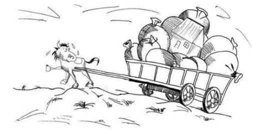 同人总站火影动漫