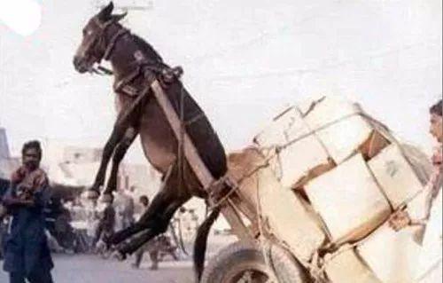 3d动漫母子 父女与成长的动漫母催泪神作