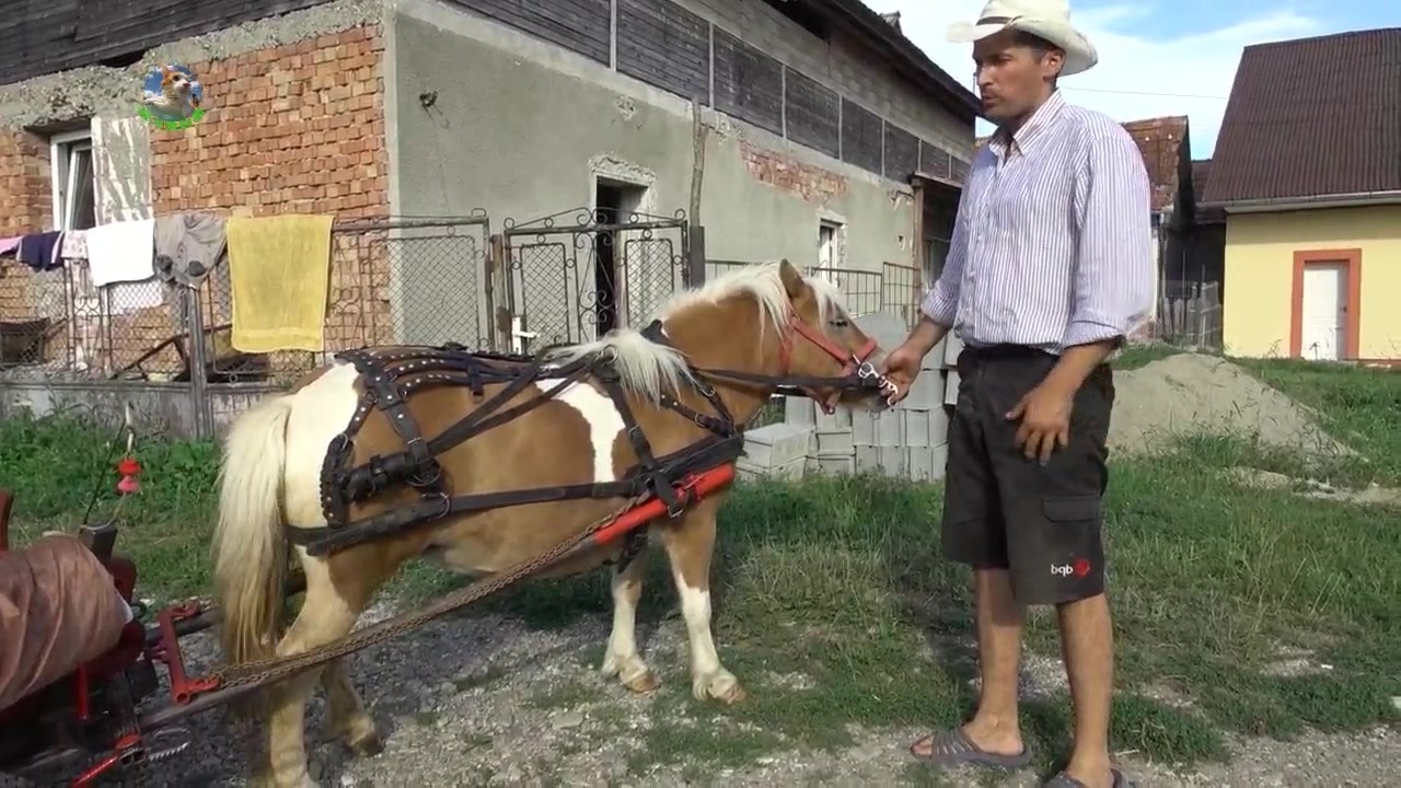 国产欧洲精品自在自线官方