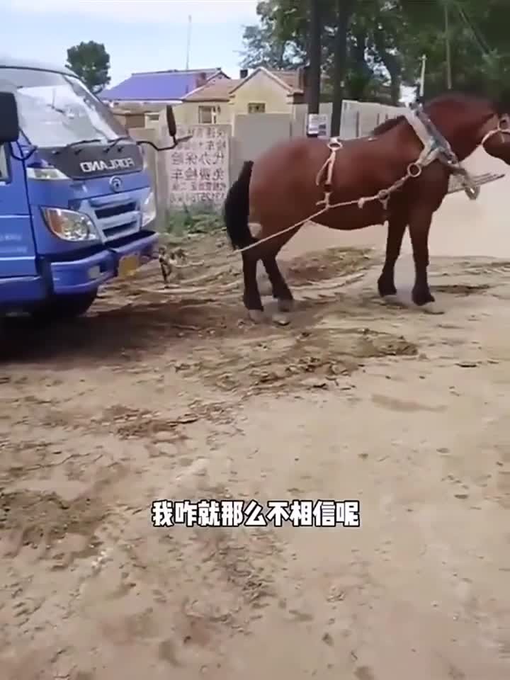 监控在线观看 诈骗信息或隐私泄露风险