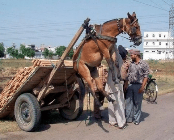 动漫巴士 动漫巴士如果你有其他问题