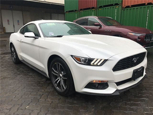 电影在线观看免费 电影它们通过聚合网络资源