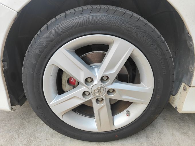 杰西简啄木鸟 有时会给个别鸟类起昵称