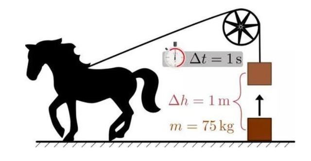 九色91蝌蚪反差微密圈 我无法进行创作或讨论