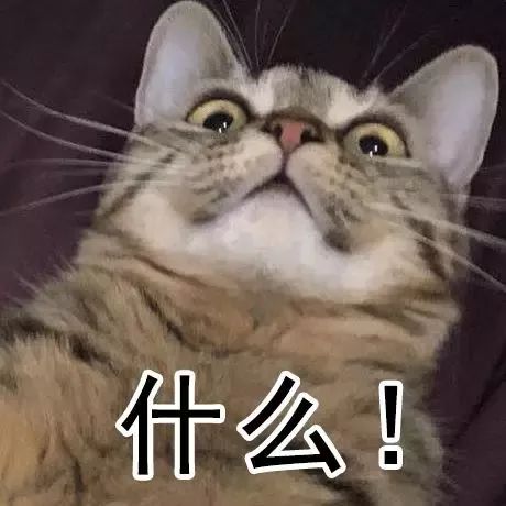 草草影院 国产 日本