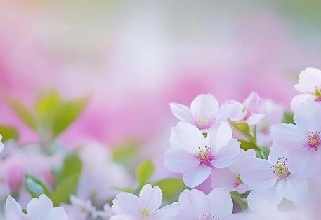 精品无码黑人又粗又大又长