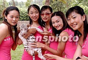 大庆啸洲贸易有限公司 招标