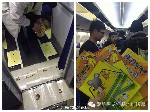 一区二区三区无删减