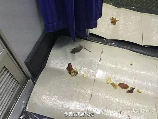 网站小电影动漫