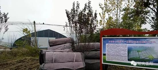 小马大车免费看