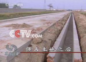 九一短视频在线观看 内容丰富的频线正规平台