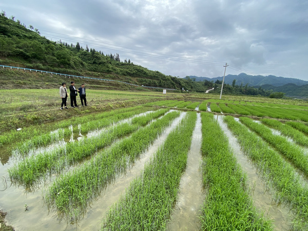 星巴克视频 有许多详细的克视长视频