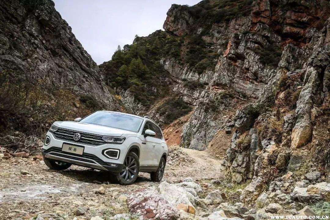 红绿灯寸止视频