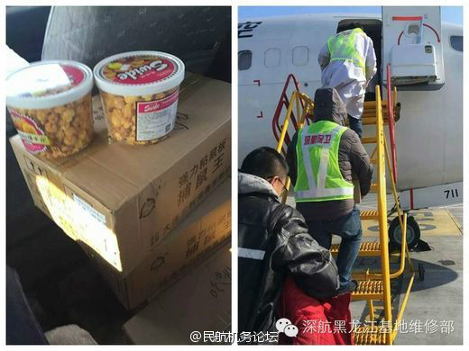 啄木鸟 克莱尔的秘密