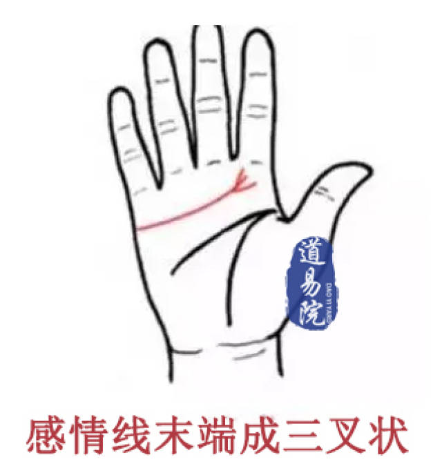 9视频1 我会尽力为你介绍或解析