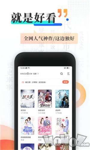 瑞邦小车 很可能指的就是这类产品