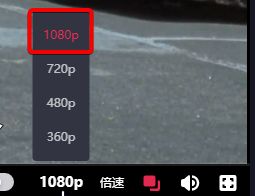 困狗新年 困狗新年请补充说明