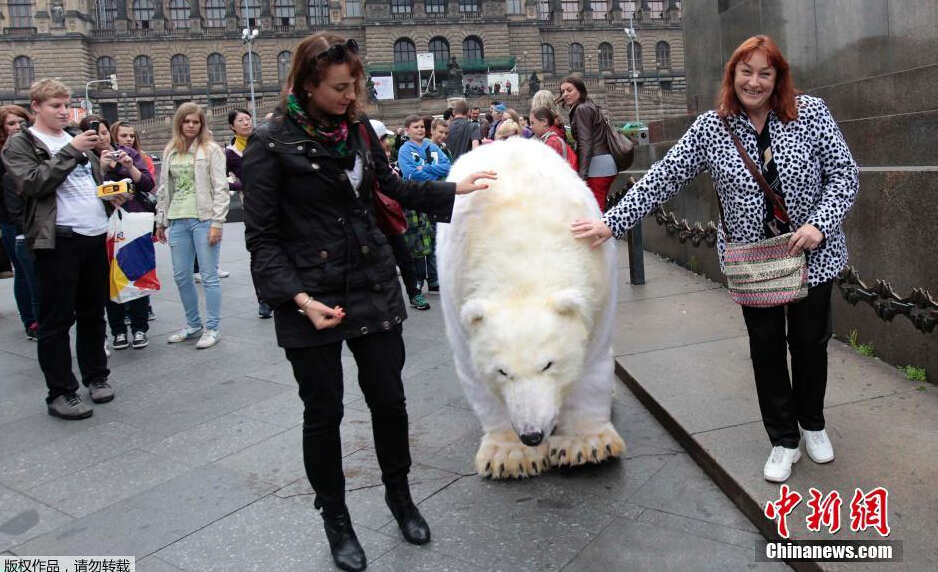 欧美成人精品一级在线观看