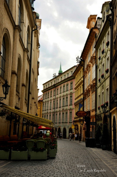 法国啄木鸟夜班护士 班护我可以为您介绍