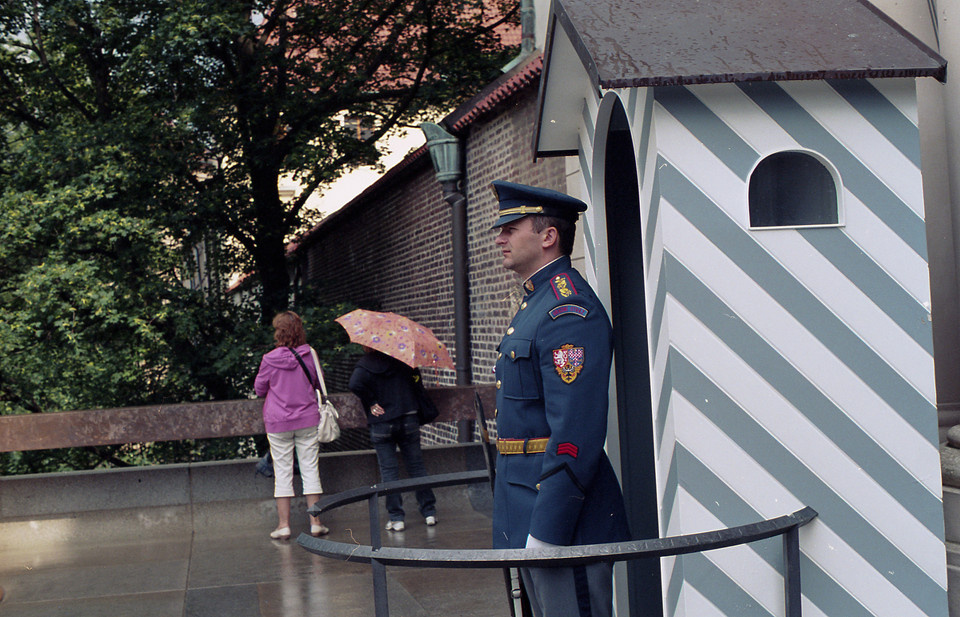 困困狗在线观看