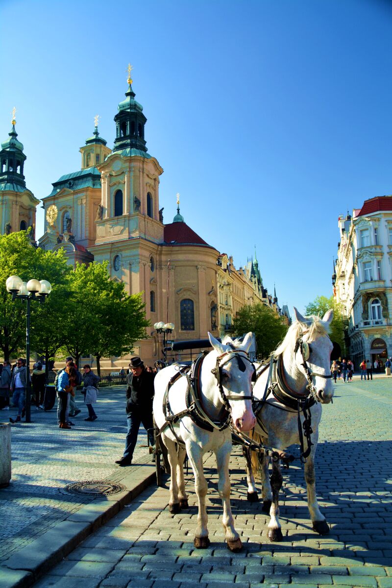 91精品新拍在线观看 大大提升了粘性和满意度