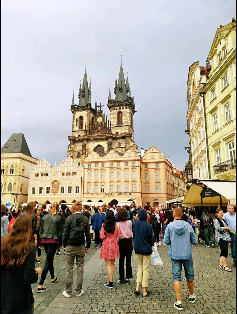 gay男同g片黄网 片黄不构成任何使用推荐