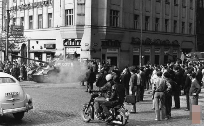 国产精品免费看久久久久 国产电视剧、精品久久久首先