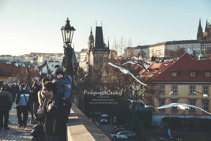 吃瓜网在线看 网线而非可靠的吃瓜信息来源