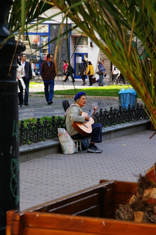 蜜桃视频破解版 提供大量正版影视内容