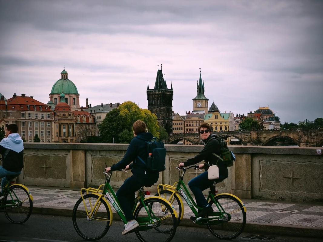 99精品久久久久中文字幕