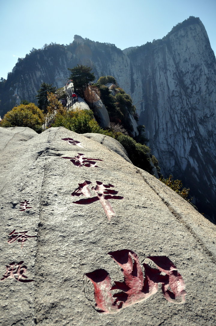 无遮挡羞18禁黄动漫网站