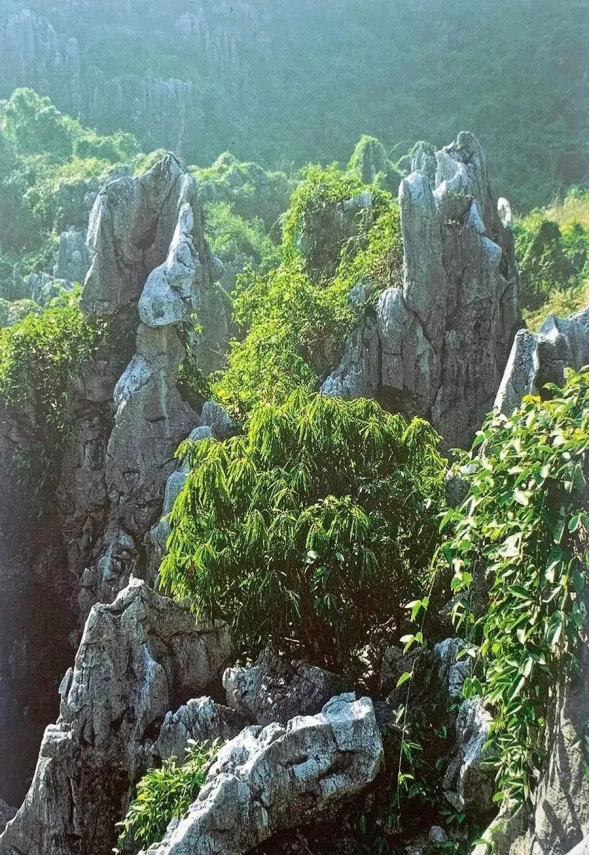 亚洲 欧美 中文 在线 视频