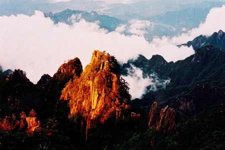 天涯海阁的最新网站 我非常乐意为你提供帮助