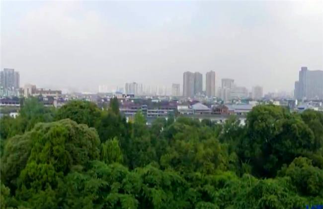 黑料不打样 实时滚动显示最新爆料