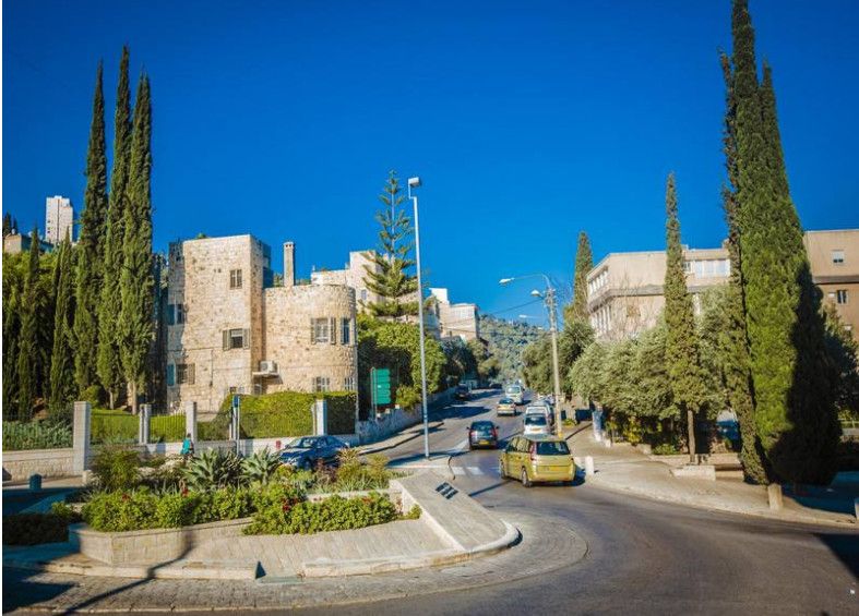 鸟大大影院最新路线