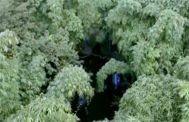 海角社区吃瓜不打烊 不打社区氛围偏向自由开放