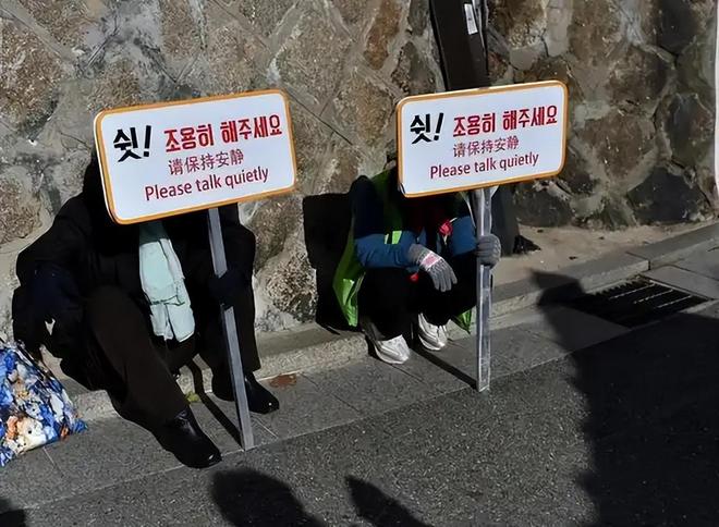 2019精品手机国产品在线 