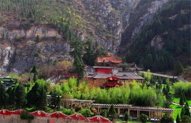 91 九色 中心 用户体验佳：界面友好