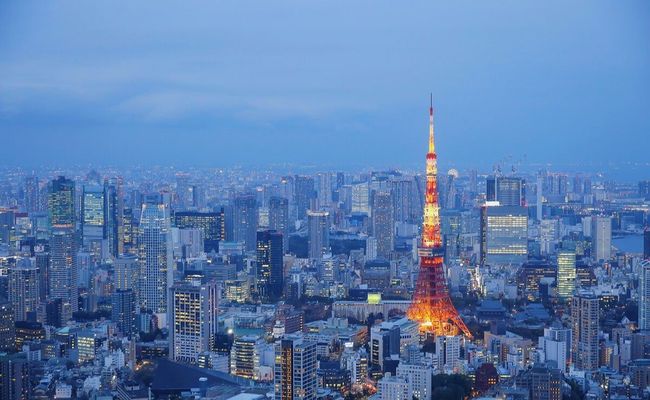 密芽视频 我们很乐意为您提供建议