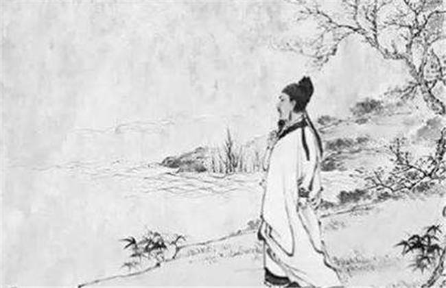 七七视频 查找建议：如果记得更多信息