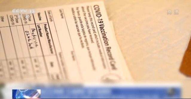 育精在线观看番茄