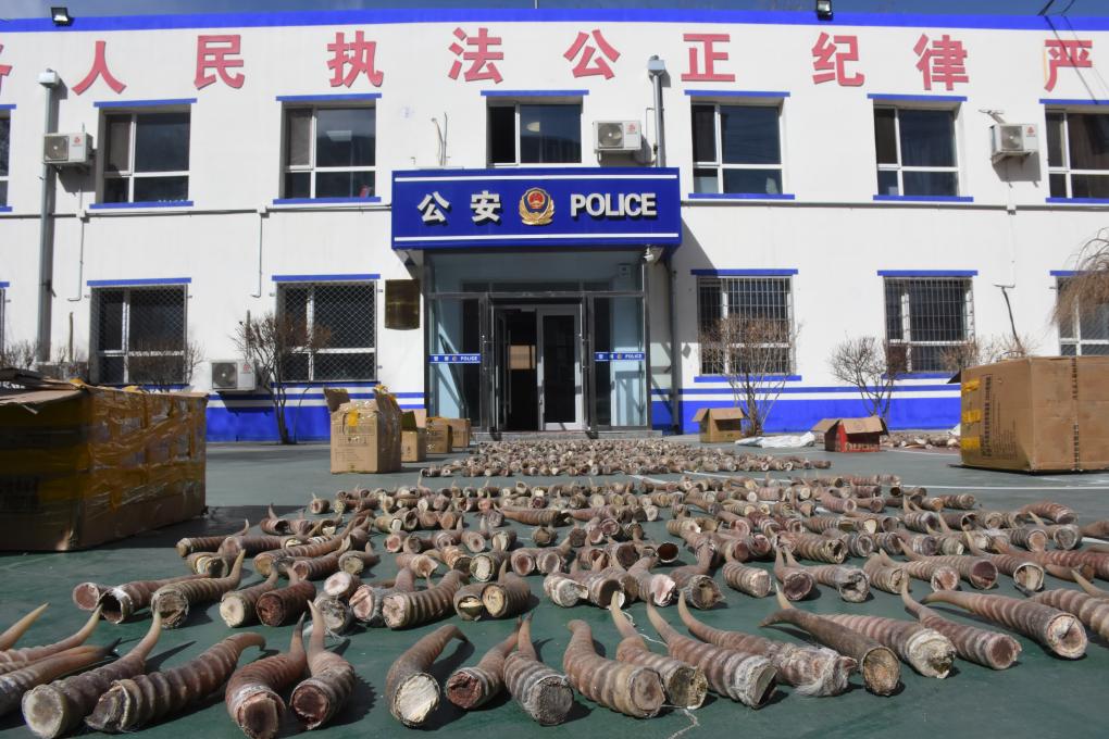 蜜桃 视频 合法的蜜桃视频影视娱乐内容