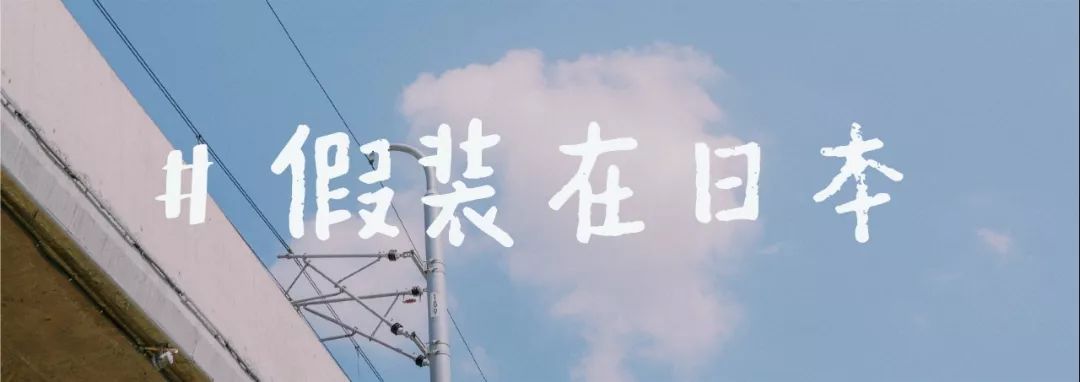 美女视频黄的全是免费