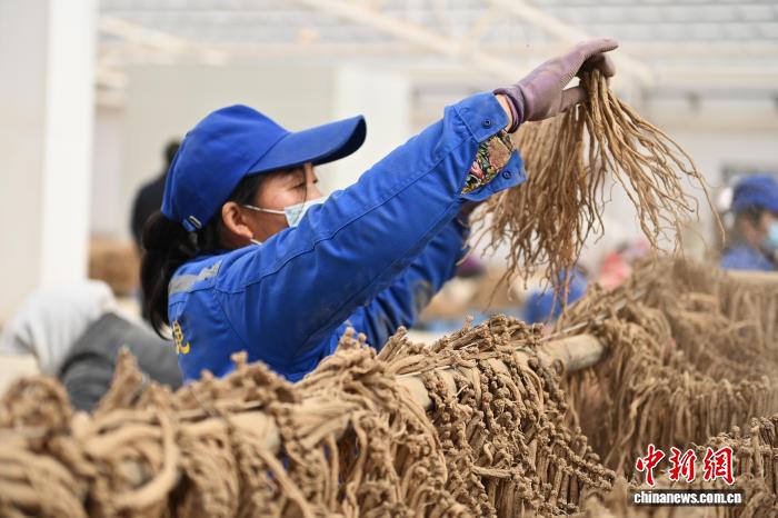 每日吃瓜在线观看，每日吃瓜播报