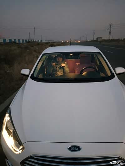 啄木鸟 黑人系列 我非常乐意为你提供帮助