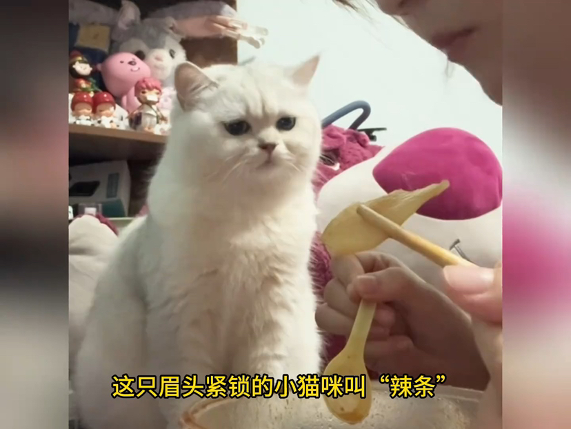 复仇题材的里番